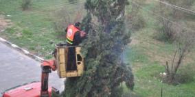 زراعة المقالة: أمطار غزة الأكثر من 10 سنوات