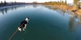 بالفيديو.. وكأنه غشاء شفاف يجمع بين عالمين