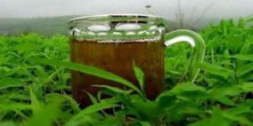 المعهد الألماني يحذر من مواد ضارة في الشاي