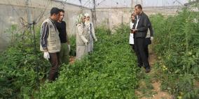 "العمل الزراعي" يطلق المرحلة الثانية من برنامج تدريب المهندسين الزراعيين