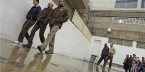 دعما للاسرى.. وقفات تضامنية في 12 دولة