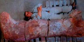 عظام أضخم كائن عرفته الأرض تظهر بعد 140 مليون عام