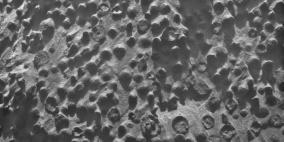 إشارات جديدة لوجود مياه على سطح المريخ