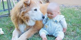 باحثون أميركيون يساوون بين الكلاب والأطفال كمصدر للسعادة