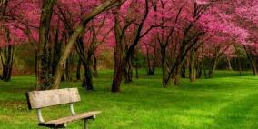 أجهزة تنقية عملاقة لمكافحة تلوث الهواء