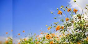 الطقس: ارتفاع طفيف على الحرارة