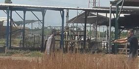 تحقيقات الاحتلال الاولية: الاردني الذي تسلل لطبريا مختل عقليا