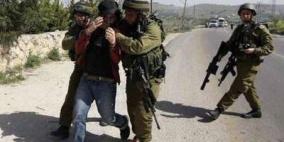 اعتقال شاب في بيت أمر بالخليل