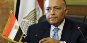 وزير الخارجية المصري ونظيره الهولندي يبحثان جهود استئناف السلام