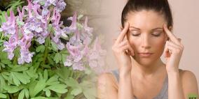 دواء نباتي قد يحل محل الأدوية التقليدية لإزالة الألم