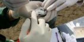 إنفلونزا الطيور تضرب ولاية أميركية جديدة