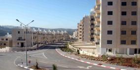 ضاحية الريحان السكنية.. مسيرة بناء وقصة نجاح