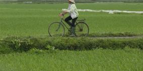 سالك السعودية تشتري 20% من منيرفا فودز البرازيلية