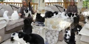 تربي 122 قطة وتنفق على 500 جنيه إسترليني أسبوعيًا على إطعامها