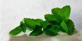 الزنجبيل والنعناع والبابونج مشروبات سحرية تعيد للبشرة نضارتها