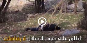 فيديو الجريمة: العمور ضحية أخرى