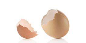 فوائد قشر البيض