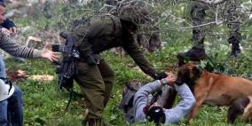 كبرى شركات تصدير الكلاب البوليسية توقف تعاملاتها مع جيش الاحتلال