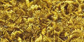 الدنمارك: العثور على 2000 حلقة ذهبية تعود لـ 900سنة ق.م