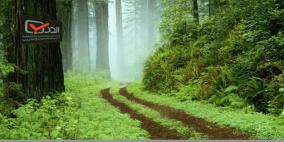 شركة فلسطينية تحصل على شهادة عالمية في مجال التدريب والاستشارات