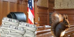 سنجاب مشوي يتسبب لأمريكي بدعوى قضائية بمليونيّ دولار