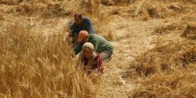 "فاو" تطلب 32 مليون دولار مساعدة القطاع الزراعي بغزة