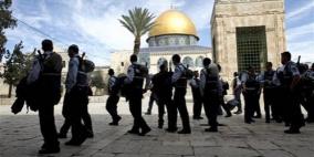 مستوطنون يواصلون اقتحامهم للأقصى بحراسات مشددة