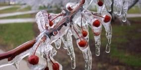 الارصاد تحذر من تشكل الانجماد والصقيع