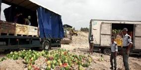 زراعة أريحا تضبط شحنة من بطيخ المستوطنات