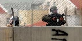 "محدث" 'مستعربون' يصيبون شابا ويعتقلون آخر وكلابهم تهاجم مُسنة في جنين