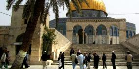 أكثر من 50 مستوطنا يقتحمون باحات المسجد الأقصى