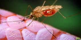 حبوب الفياغرا تفيد في منع انتشار الملاريا