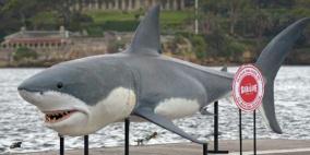 أستراليا تكافح هجمات القرش.. عبر السماح باصطياده