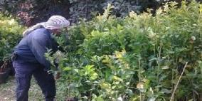 وزير الزراعة يبحث مع أصحاب المشاتل المشاكل التي تواجههم