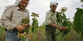 وزير الزراعة يدعو الى تنظيم زراعة التبغ في يعبد