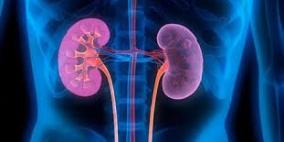 احذر من 10 عادات قد تدمر كليتك وانت لاتدري