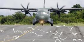 ابتكار روبوتات في هولندا لحماية المطارات من الطيور