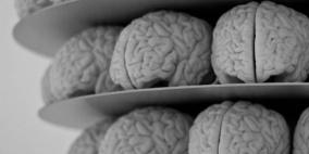 هل تعلم أن حجم الدماغ يتغيّر خلال اليوم؟