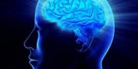 دراسة تثبت أن الفضول يقوي الذاكرة