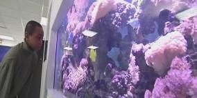 أحواض أسماك لتخفيف آلام المرضى في فرنسا