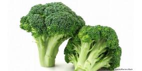 هل تقي حبوب البروكولي من السرطان حقا؟