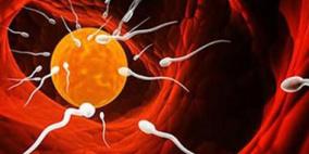 دوالى الخصية السبب الرئيسى وراء تشوه الحيوانات المنوية