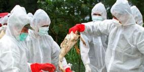 أميركا.. السيطرة على إنفلونزا الطيور خلال 4 أشهر