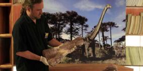 اكتشاف حفرية نوع نادر من الديناصورات بفنزويلا