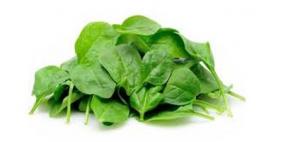 باحثة سويدية تكتشف أن السبانخ تساعد على فقدان الشهية