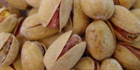 الفستق خير سلاح لمكافحة الكولسترول