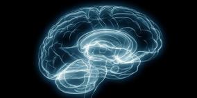 التوتر النفسي يسرع في شيخوخة الدماغ