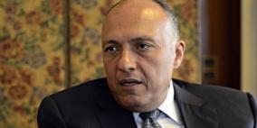 شكري يبحث مع كيري المستجدات وفي مقدمتها القضية الفلسطينية