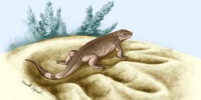 حيوان صغير لاحم يتطور إلى عاشب عملاق