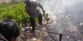 مستوطنون يضرمون النار في أراضي اماتين بقلقيلية